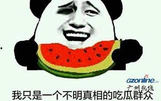 不明吃瓜群众出处,网络舆论场中的神秘力量