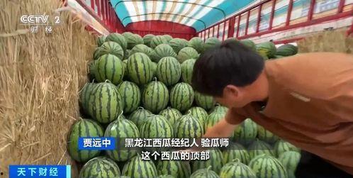 薄冰吃瓜后续