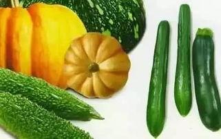 憨不溜秋 吃瓜