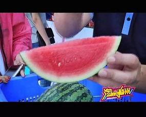 大鱼一块儿吃瓜,共度欢乐时光