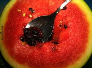 奇葩厨房带你吃瓜