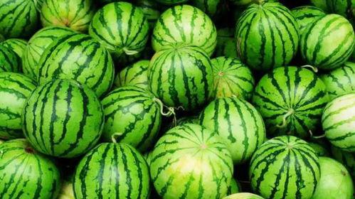 爆瓜怎么吃,解锁夏日消暑新吃法