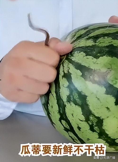 怎样挑好的吃瓜,教你如何挑选新鲜美味的优质瓜果