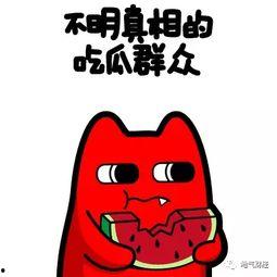 吃瓜群众瓜哥搞笑动画,笑料横生，瓜界风云再起