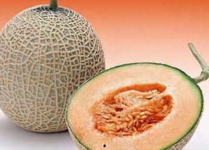 吃了牛杂可以吃哈密瓜吗,美味搭配的奇妙之旅