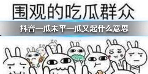 抖音今天吃瓜,揭秘热门事件背后的真相