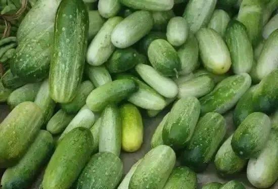 野生呆瓜怎么吃,野生呆瓜的多样食法探索