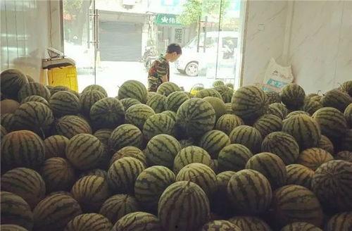 常州纺织吃瓜,吃瓜群众眼中的行业风云