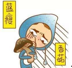 蓝瘦香菇 吃瓜,揭秘网络热词背后的故事