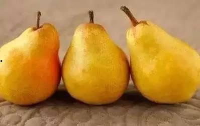 吃瓜要适可而止,理性围观——适可而止的吃瓜之道