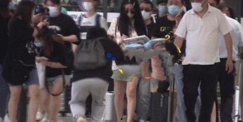 上海机场吃瓜的,揭秘网红打卡地的幕后故事