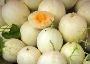 空腹可以吃白兰瓜,空腹食用白兰瓜的益处与注意事项