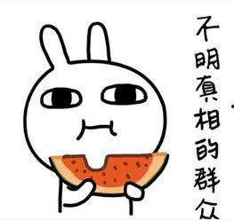 吃瓜照片配字搞笑,一张吃瓜照片引发的欢乐风暴