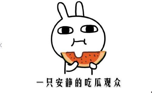 什么是抖音吃瓜,网络舆论场上的“瓜田”众生相