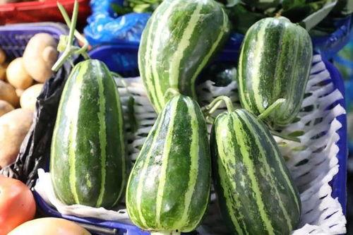 吃瓜茄类蔬菜,探索茄类蔬菜的多样美味