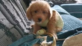 吃瓜吧唧吧唧,吧唧吧唧，尽享夏日美味时光