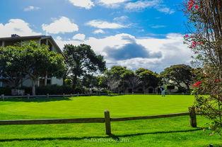 朝阳吃瓜天空花园