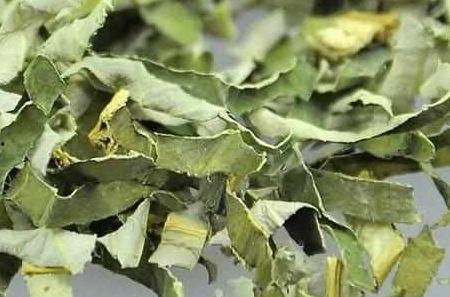 吃树瓜叶,绿色天然，营养满溢的绿色盛宴