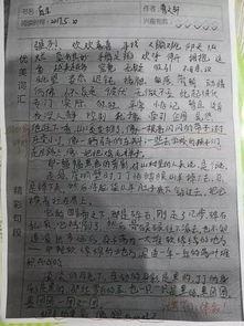 夏日吃瓜趣事作文,夏日瓜香趣事多