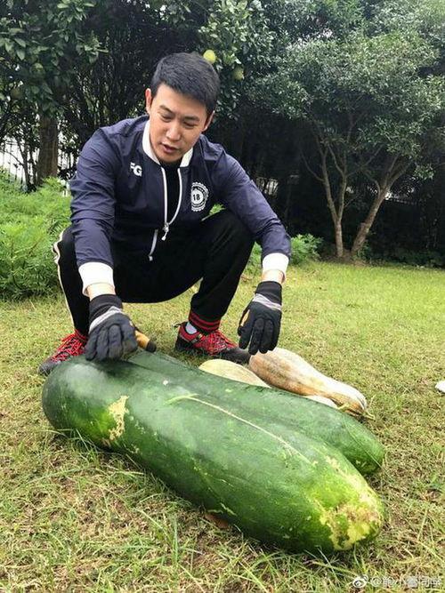 曹县吃瓜女照片,网络舆论下的社会现象解析